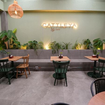 Apartamentos Housy Laureles Μεντεγίν Εξωτερικό φωτογραφία